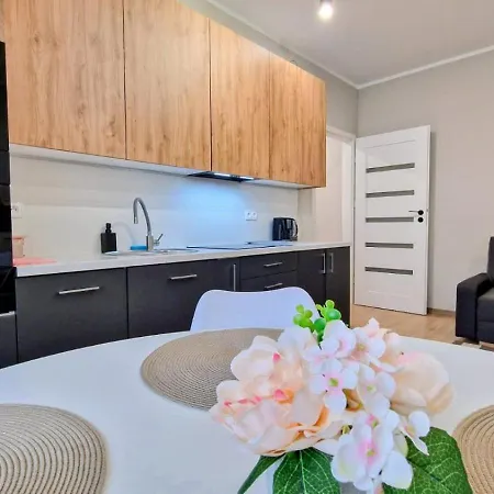 Luxury Location -ii-piotrkowska&sienkiewicza 公寓 *